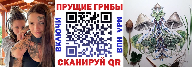 хочу   Нижнекамск  Псилоцибиновые грибы ЛСД 
