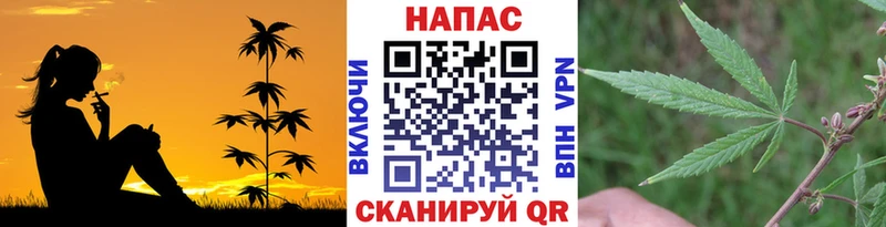 MEGA ссылка  Нижнекамск  Бошки марихуана сатива 